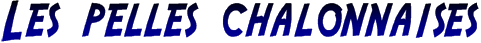 LES PELLES CHALONNAISES